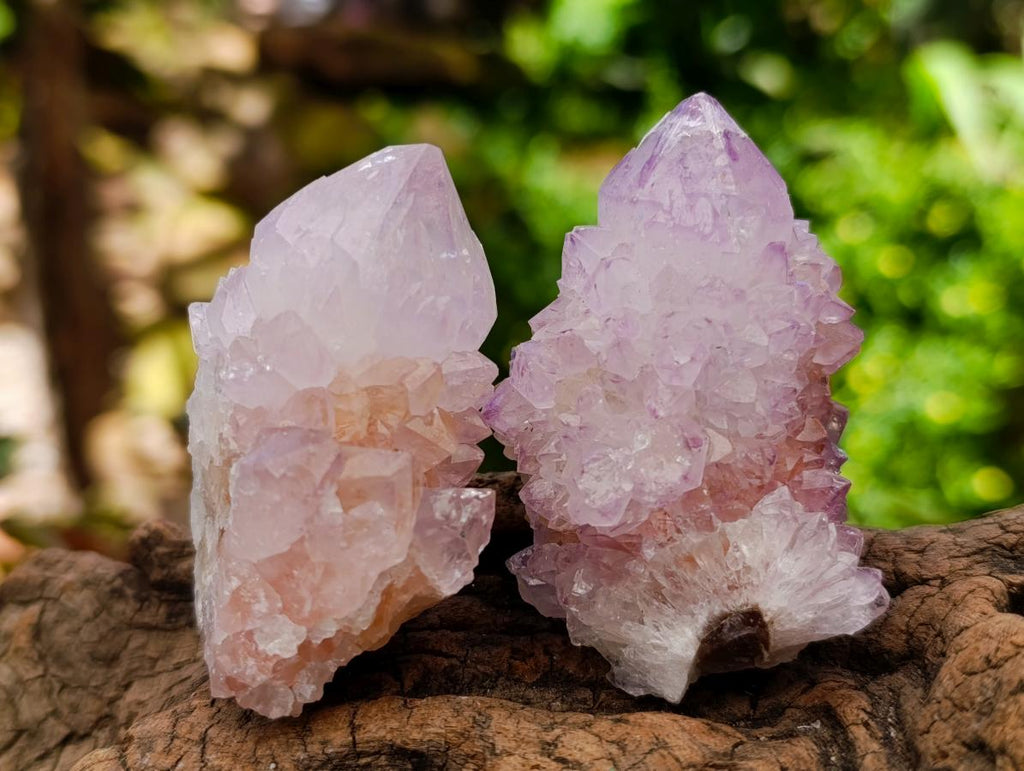 Natural Sunburst Amethyst Spirit Clusters And Crystals x 20 From Boekenhouthoek, South Africa