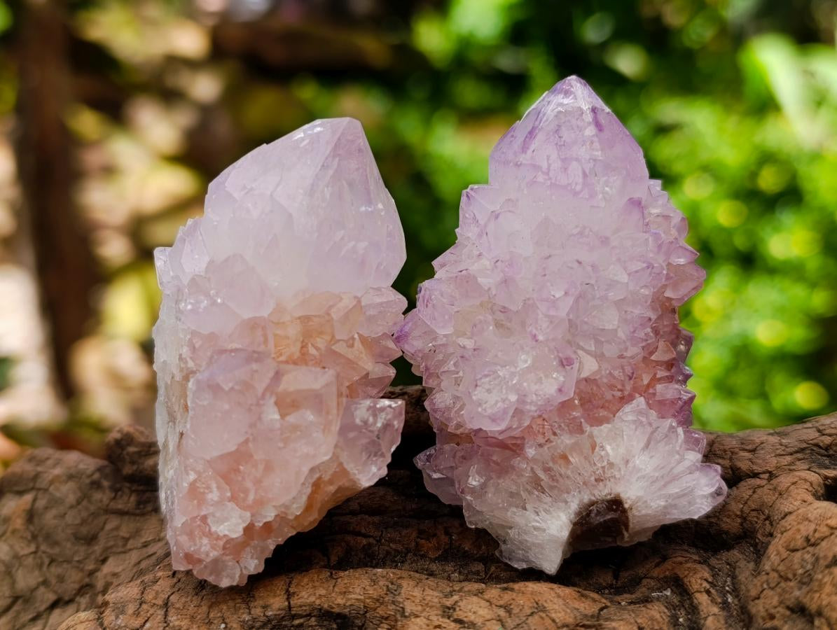 Natural Sunburst Amethyst Spirit Clusters And Crystals x 20 From Boekenhouthoek, South Africa