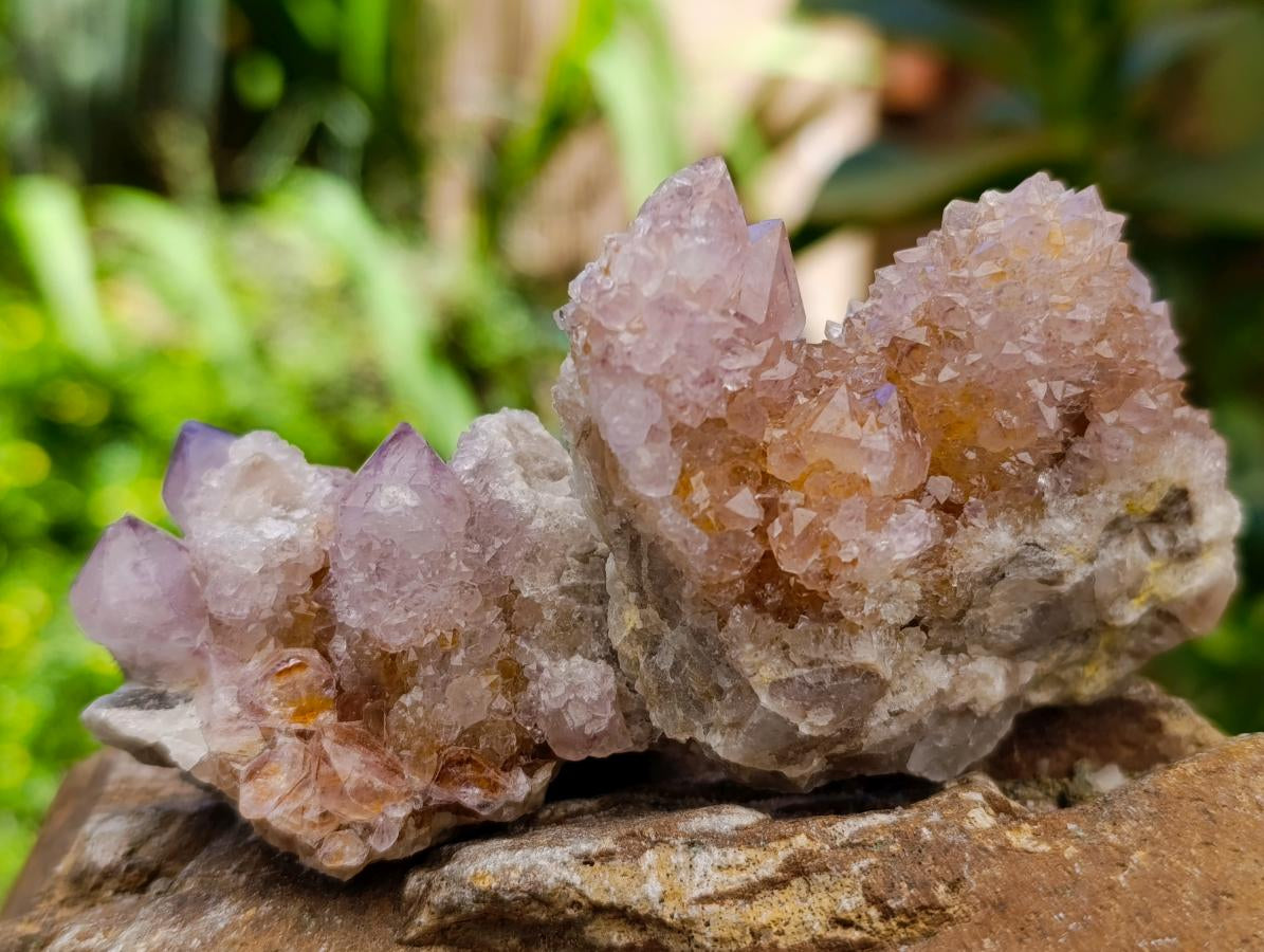 Natural Sunburst Amethyst Spirit Clusters And Crystals x 20 From Boekenhouthoek, South Africa