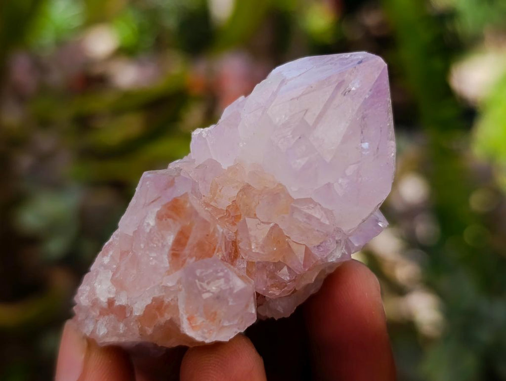 Natural Sunburst Amethyst Spirit Clusters And Crystals x 20 From Boekenhouthoek, South Africa