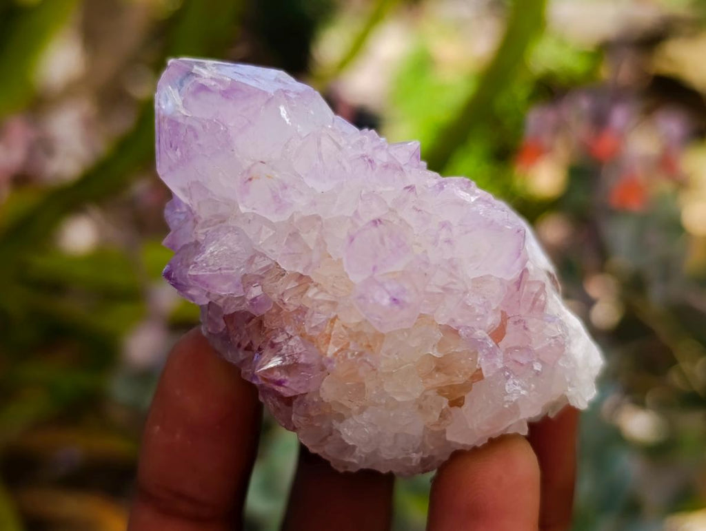 Natural Sunburst Amethyst Spirit Clusters And Crystals x 20 From Boekenhouthoek, South Africa