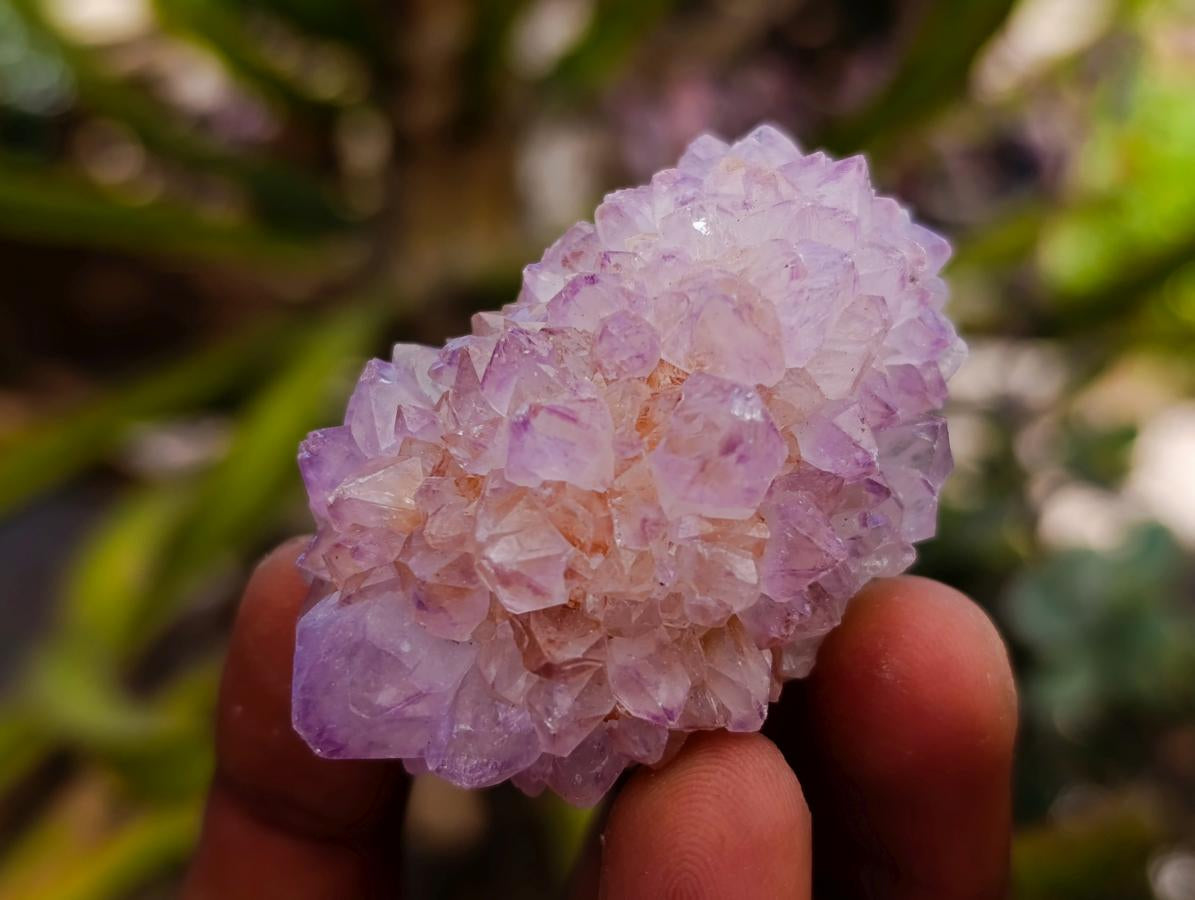 Natural Sunburst Amethyst Spirit Clusters And Crystals x 20 From Boekenhouthoek, South Africa