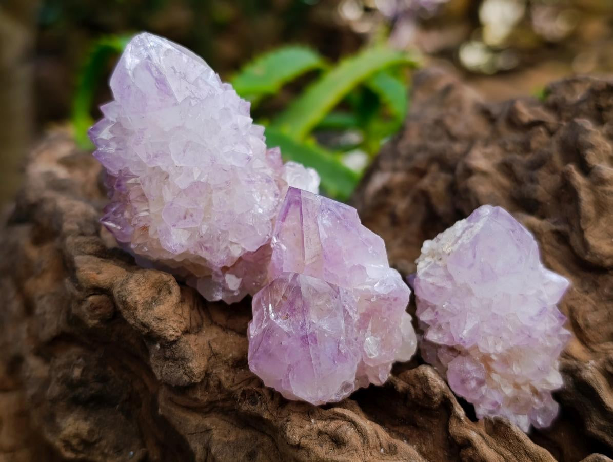 Natural Sunburst Amethyst Spirit Clusters And Crystals x 20 From Boekenhouthoek, South Africa