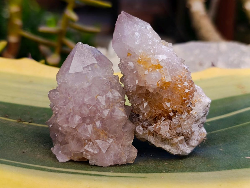 Natural Sunburst Amethyst Spirit Clusters And Crystals x 20 From Boekenhouthoek, South Africa
