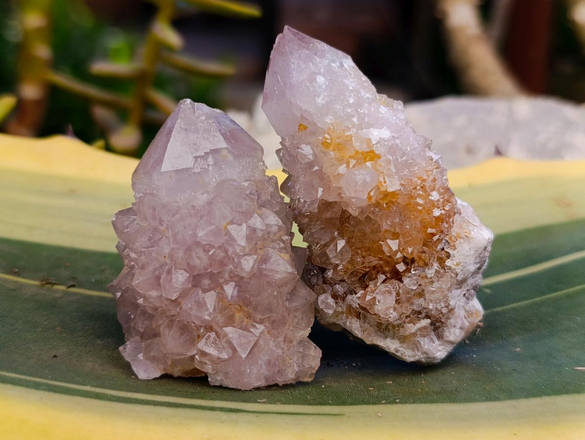 Natural Sunburst Amethyst Spirit Clusters And Crystals x 20 From Boekenhouthoek, South Africa