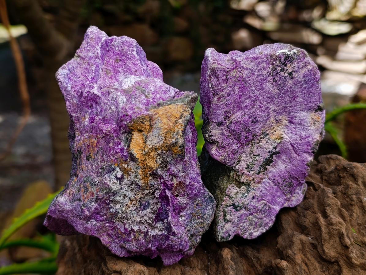 Natural Stichtite Cobbed Specimens x 6 From Barberton, South Africa