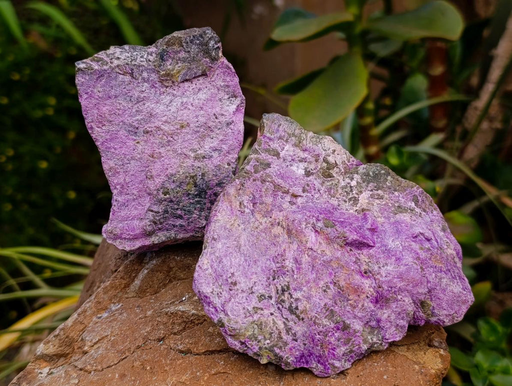 Natural Stichtite Cobbed Specimens x 6 From Barberton, South Africa