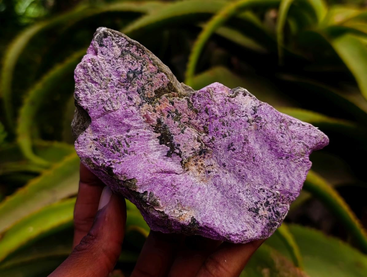 Natural Stichtite Cobbed Specimens x 6 From Barberton, South Africa