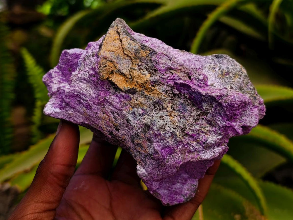 Natural Stichtite Cobbed Specimens x 6 From Barberton, South Africa