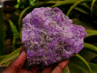 Natural Stichtite Cobbed Specimens x 6 From Barberton, South Africa