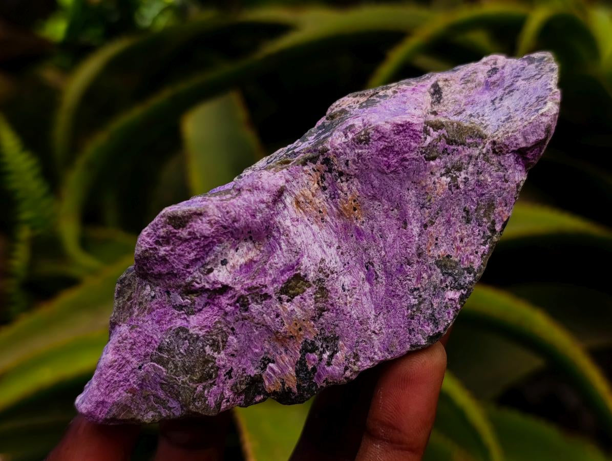 Natural Stichtite Cobbed Specimens x 6 From Barberton, South Africa