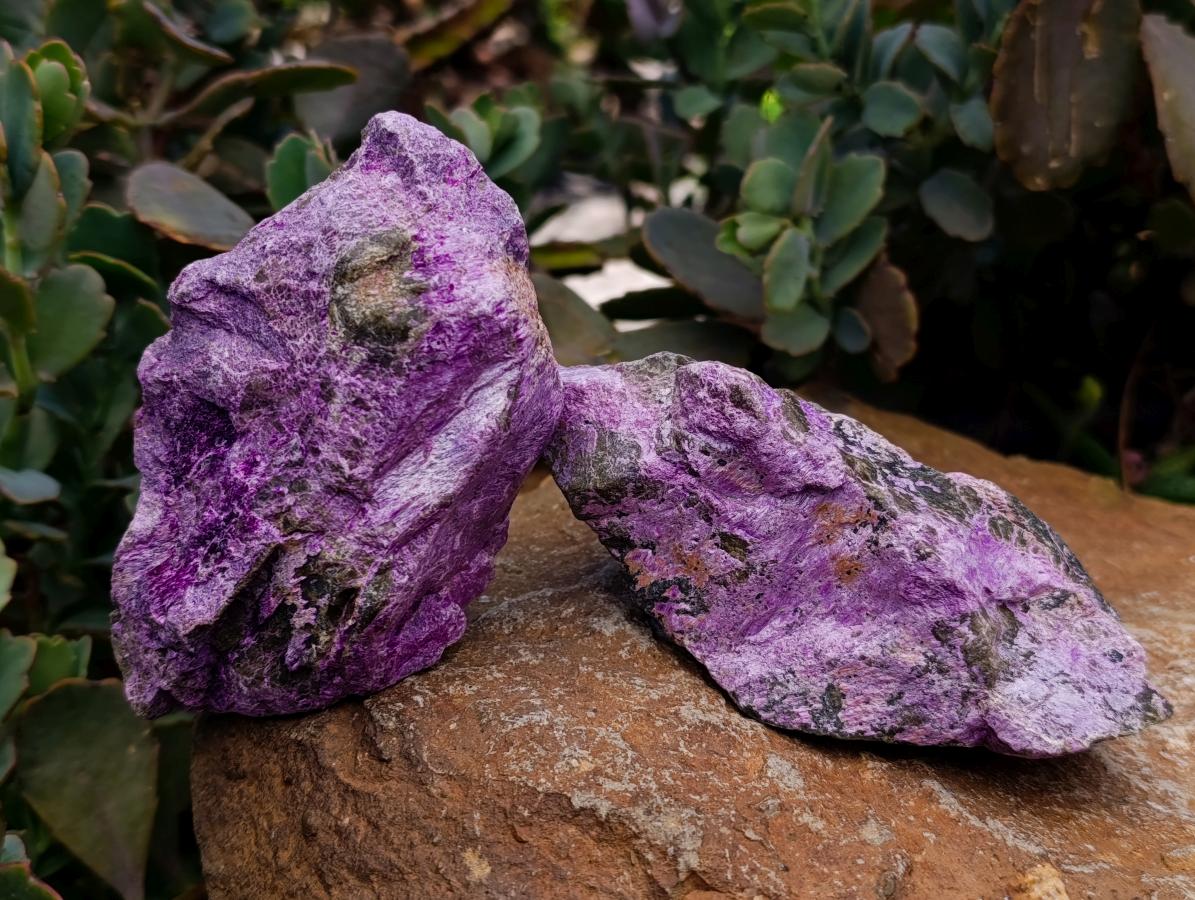 Natural Stichtite Cobbed Specimens x 6 From Barberton, South Africa