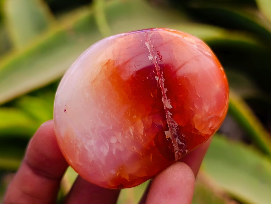 Polished Carnelian Agate Gemstone Galets x 25 From Madagascar