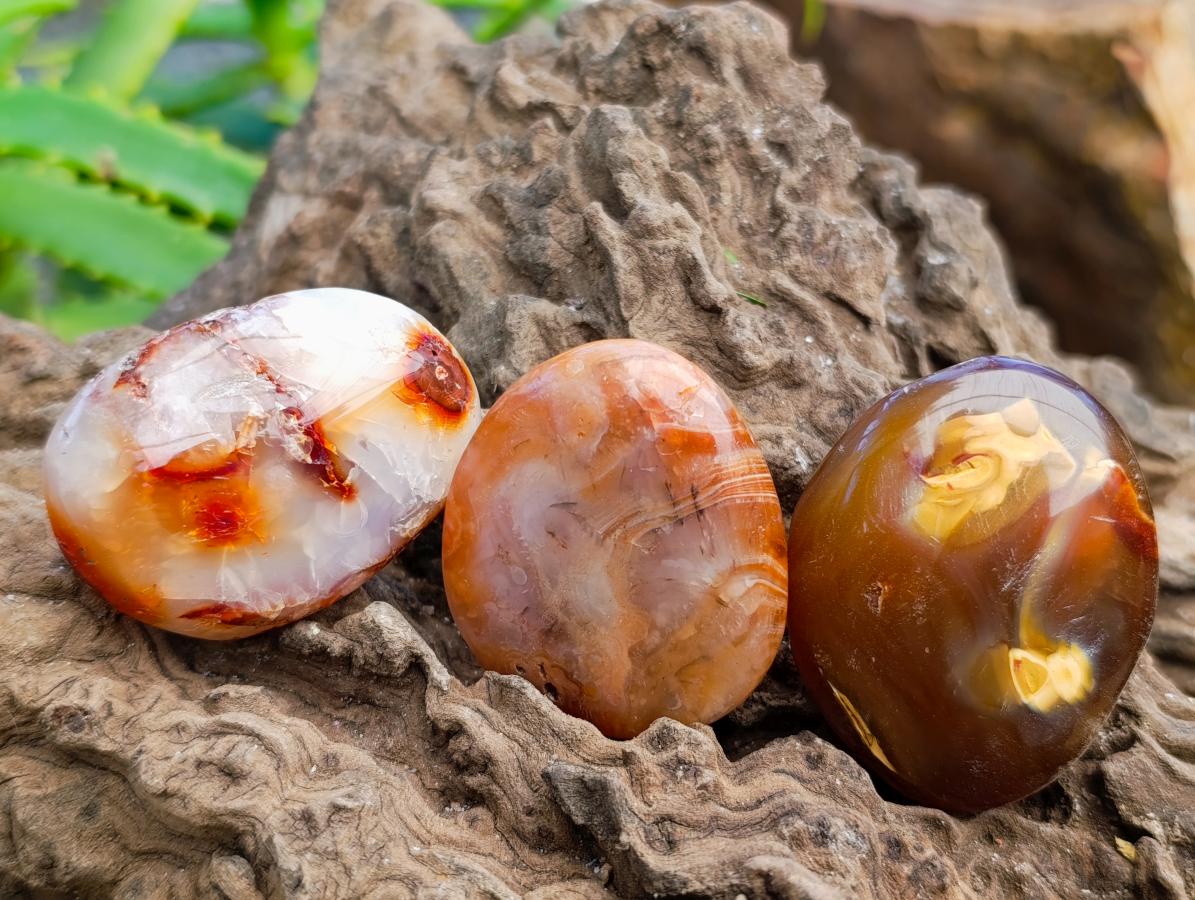 Polished Carnelian Agate Gemstone Galets x 25 From Madagascar