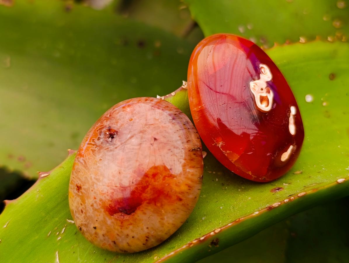 Polished Carnelian Agate Gemstone Galets x 25 From Madagascar