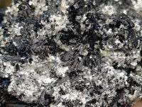Natural Schorl Black Tourmaline with Vermiculite Mica x 2 From Erongo, Namibia