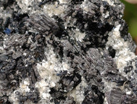 Natural Schorl Black Tourmaline with Vermiculite Mica x 2 From Erongo, Namibia