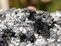 Natural Schorl Black Tourmaline with Vermiculite Mica x 2 From Erongo, Namibia