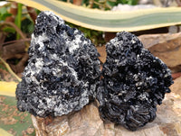Natural Schorl Black Tourmaline with Vermiculite Mica x 2 From Erongo, Namibia