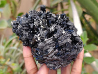 Natural Schorl Black Tourmaline with Vermiculite Mica x 2 From Erongo, Namibia