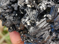 Natural Schorl Black Tourmaline with Vermiculite Mica x 2 From Erongo, Namibia