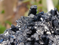 Natural Schorl Black Tourmaline with Vermiculite Mica x 2 From Erongo, Namibia