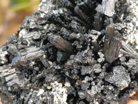 Natural Schorl Black Tourmaline with Vermiculite Mica x 2 From Erongo, Namibia