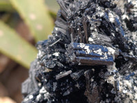 Natural Schorl Black Tourmaline with Vermiculite Mica x 2 From Erongo, Namibia