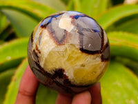 Polished Septerye Spheres x 5 From Mahajanga, Madagascar