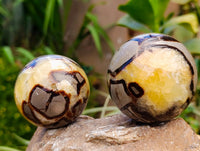 Polished Septerye Spheres x 5 From Mahajanga, Madagascar