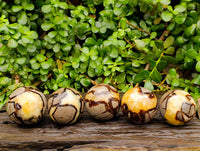Polished Septerye Spheres x 5 From Mahajanga, Madagascar