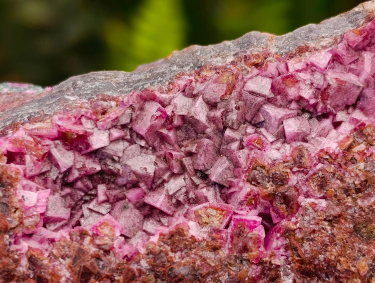 Natural Salrose Cobaltion Dolomite with Malachite Specimens x 12 From Kakanda, Congo