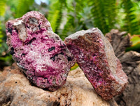 Natural Salrose Cobaltion Dolomite with Malachite Specimens x 12 From Kakanda, Congo