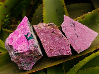 Natural Salrose Cobaltion Dolomite with Malachite Specimens x 12 From Kakanda, Congo