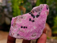 Natural Salrose Cobaltion Dolomite with Malachite Specimens x 12 From Kakanda, Congo