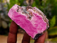 Natural Salrose Cobaltion Dolomite with Malachite Specimens x 12 From Kakanda, Congo