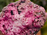 Natural Salrose Cobaltion Dolomite with Malachite Specimens x 12 From Kakanda, Congo