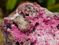 Natural Salrose Cobaltion Dolomite with Malachite Specimens x 12 From Kakanda, Congo