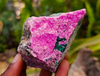 Natural Salrose Cobaltion Dolomite with Malachite Specimens x 12 From Kakanda, Congo