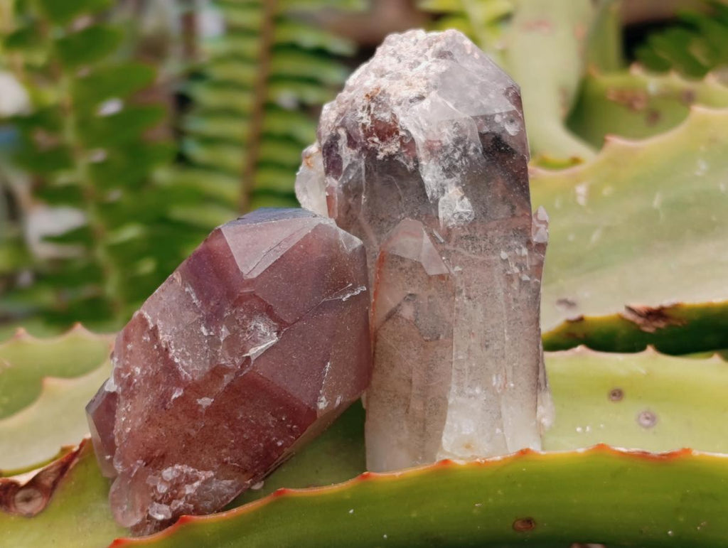 Natural Red Hematoid Quartz Clusters And Crystals x 24 From Karoi, Zimbabwe