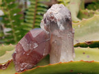 Natural Red Hematoid Quartz Clusters And Crystals x 24 From Karoi, Zimbabwe