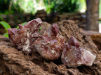 Natural Red Hematoid Quartz Clusters And Crystals x 24 From Karoi, Zimbabwe