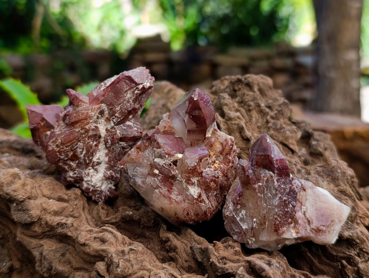 Natural Red Hematoid Quartz Clusters And Crystals x 24 From Karoi, Zimbabwe
