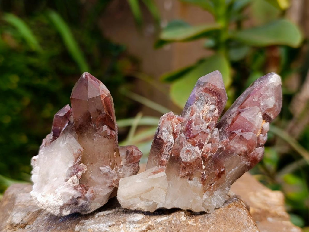 Natural Red Hematoid Quartz Clusters And Crystals x 24 From Karoi, Zimbabwe