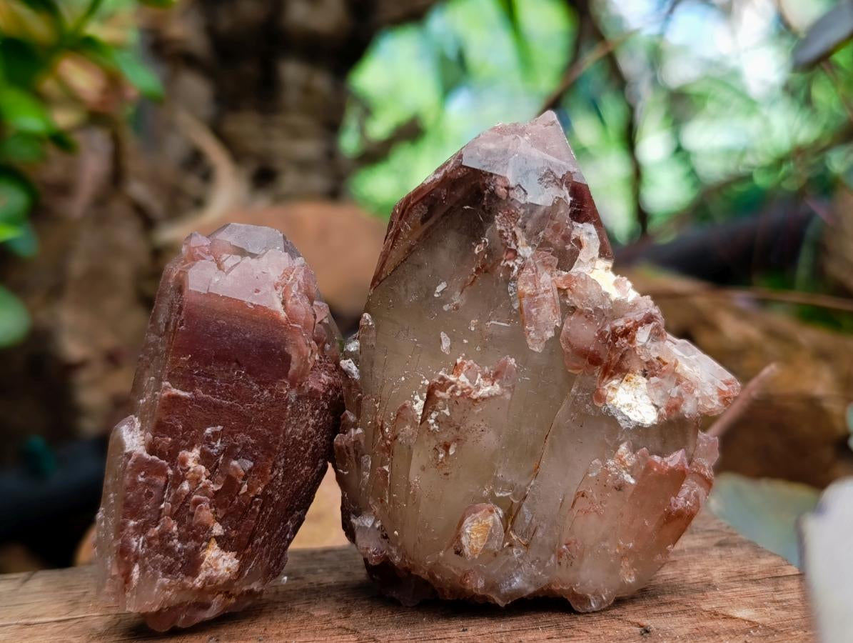 Natural Red Hematoid Quartz Clusters And Crystals x 24 From Karoi, Zimbabwe