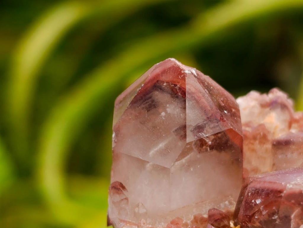 Natural Red Hematoid Quartz Clusters And Crystals x 24 From Karoi, Zimbabwe