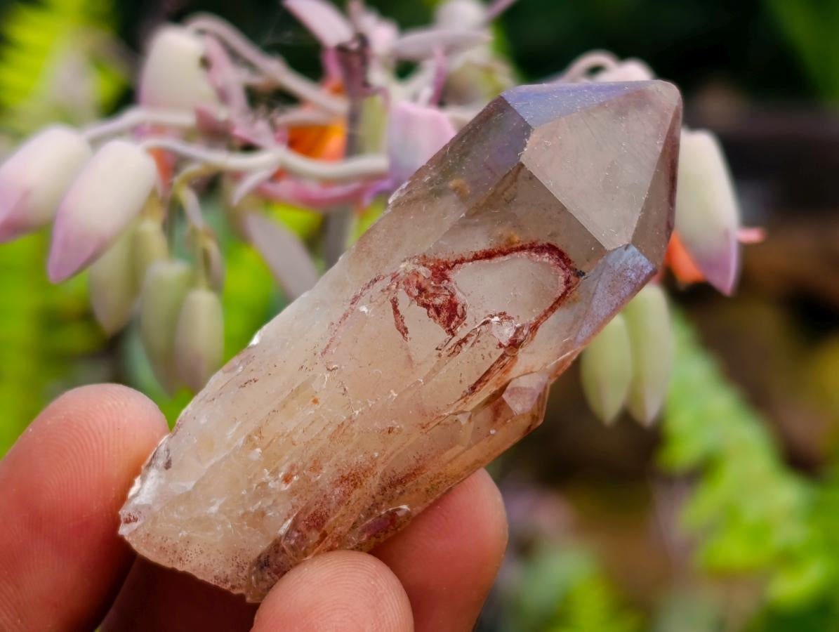 Natural Red Hematoid Quartz Clusters And Crystals x 24 From Karoi, Zimbabwe