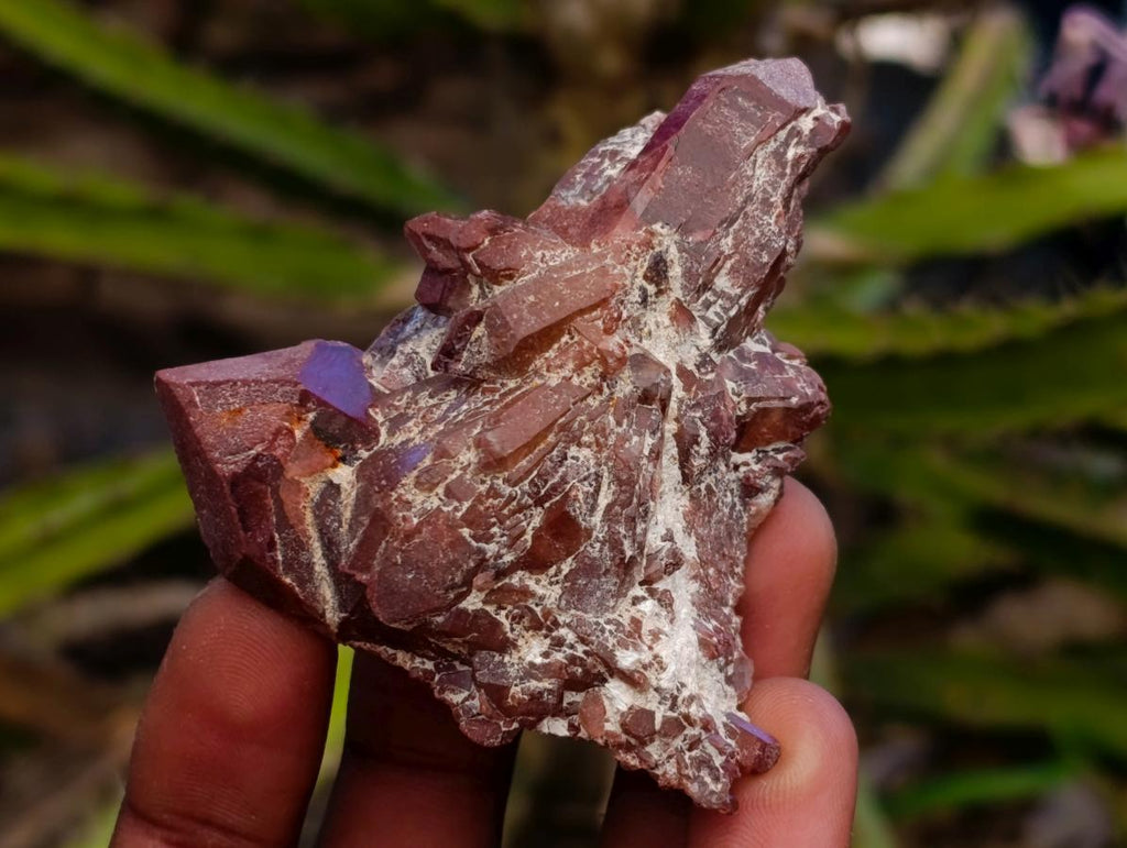 Natural Red Hematoid Quartz Clusters And Crystals x 24 From Karoi, Zimbabwe