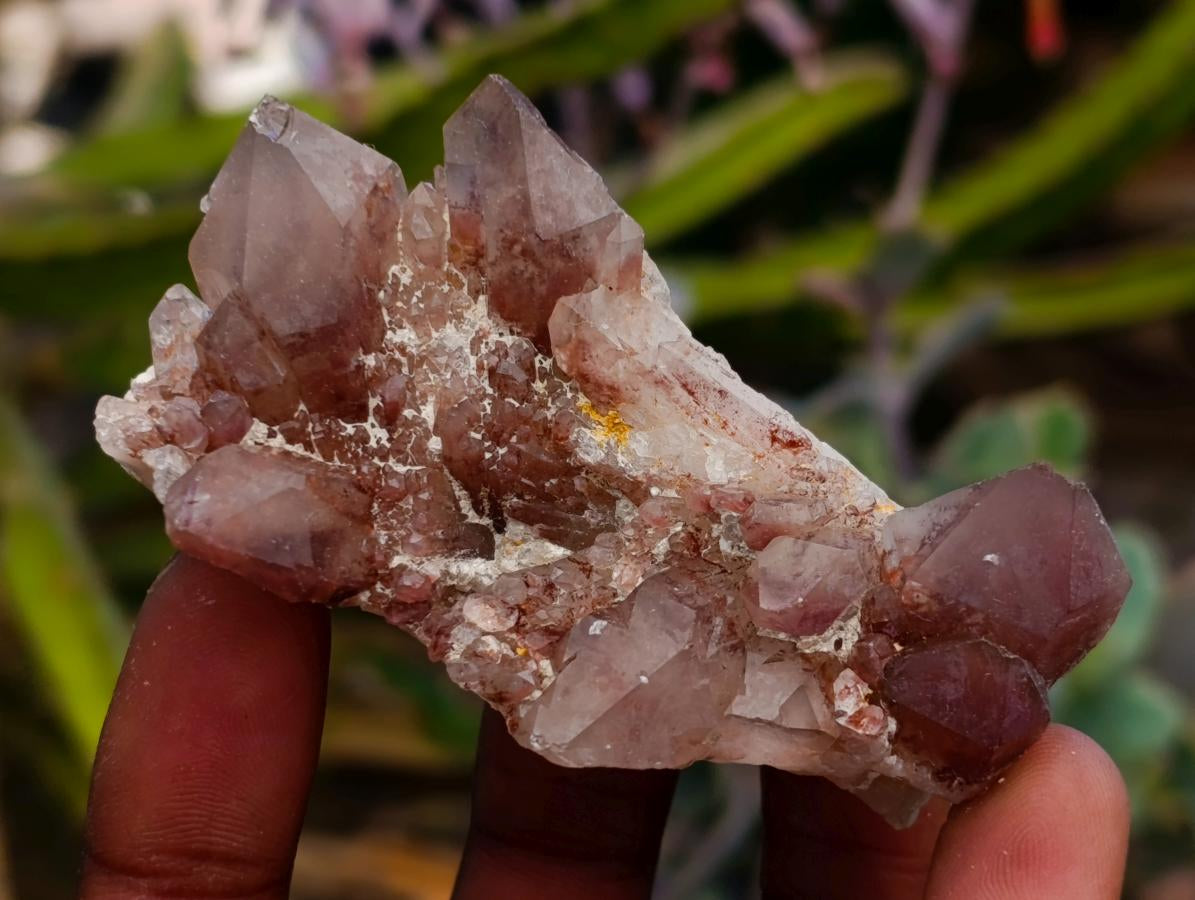 Natural Red Hematoid Quartz Clusters And Crystals x 24 From Karoi, Zimbabwe