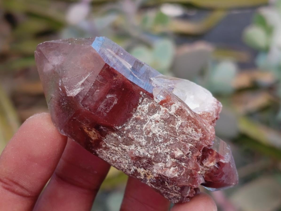 Natural Red Hematoid Quartz Clusters And Crystals x 24 From Karoi, Zimbabwe